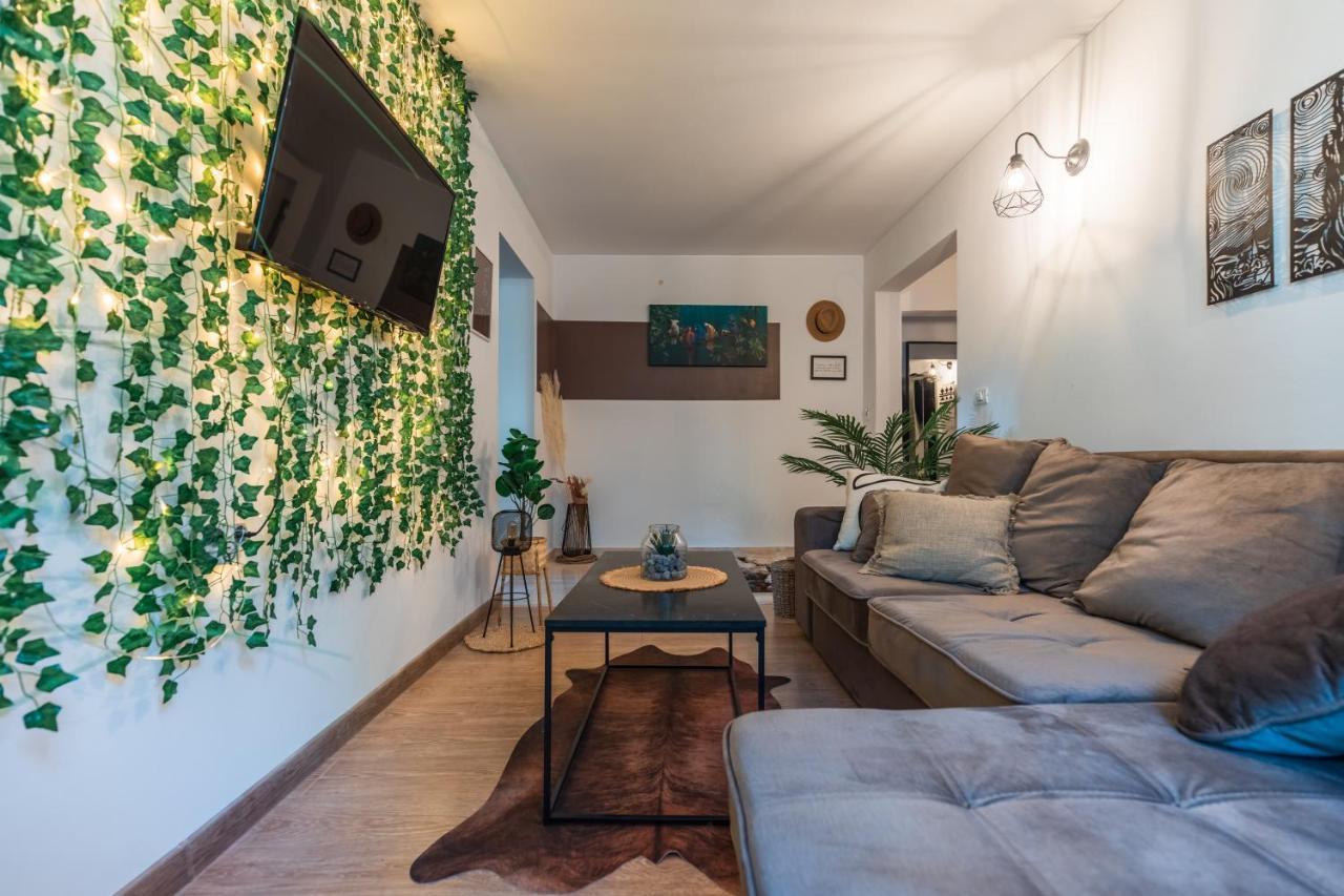 Jungle Apartment 15 Min Walk To Beach & Downtown Констанца Экстерьер фото