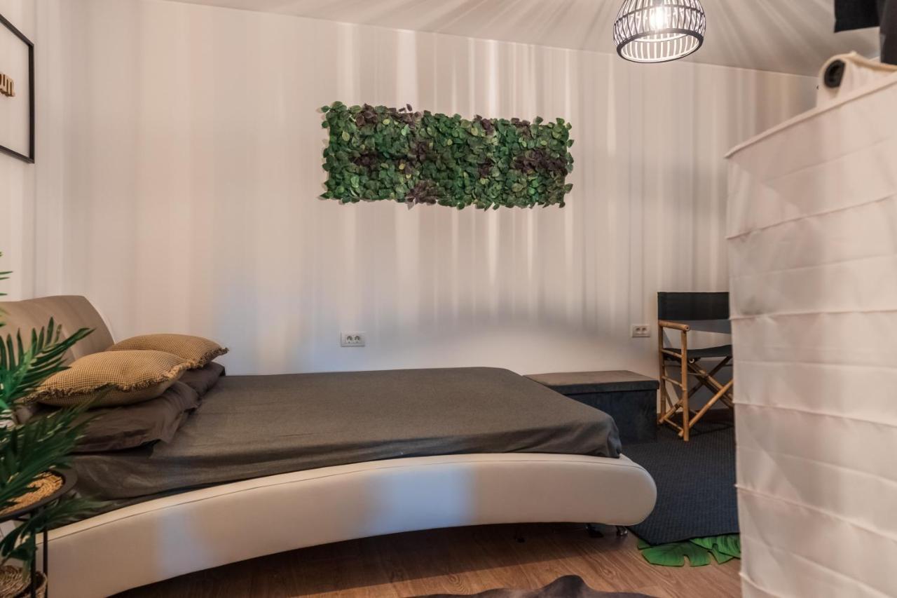 Jungle Apartment 15 Min Walk To Beach & Downtown Констанца Экстерьер фото
